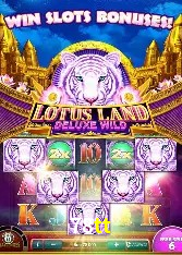 Casino Ao Vivo 78tt